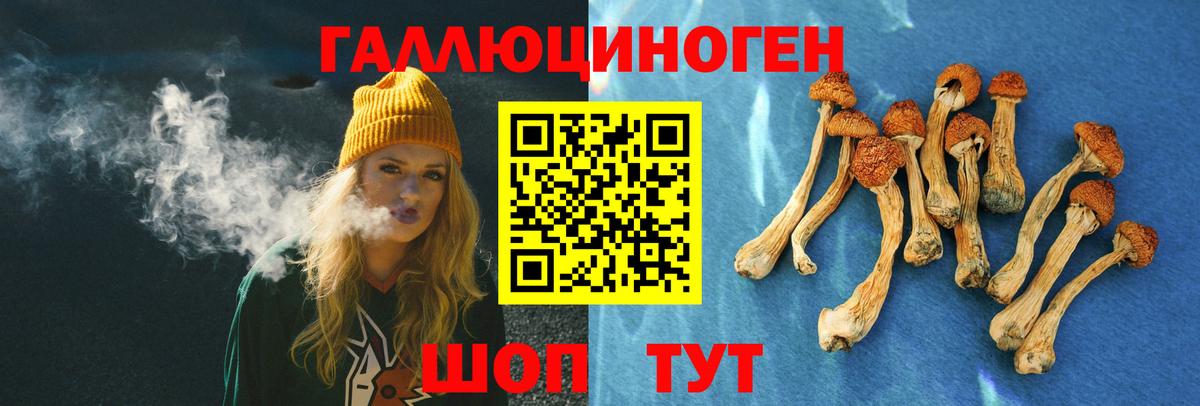 Галлюциногенные грибы Magic Shrooms  Галлюциногенные грибы MAGIC MUSHROOMS  Калуга  Вход с VPN 