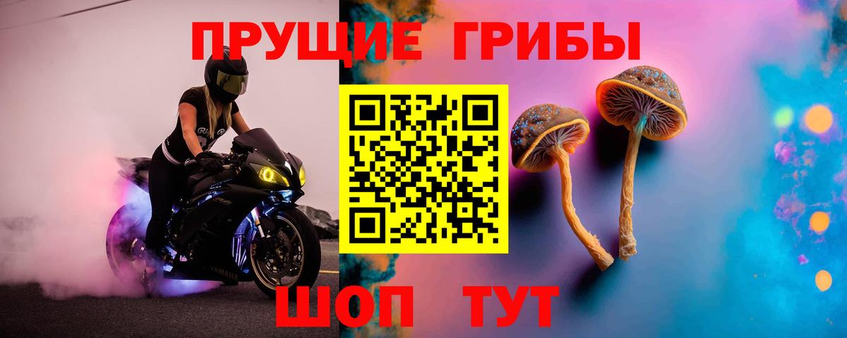 Псилоцибиновые грибы GOLDEN TEACHER Калуга